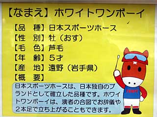 ホワイトワンボーイ(日本スポーツホース)