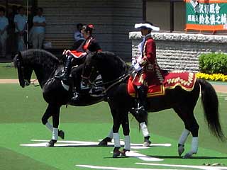 まきばのホースショー