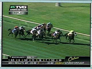 アメリカンオークス