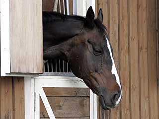 エアジョーダン