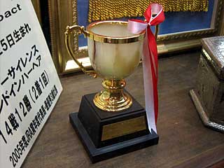 ディープインパクト日本ダービー優勝カップ