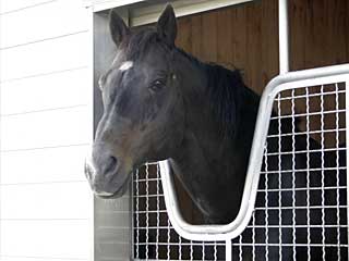 アジュディケーティング