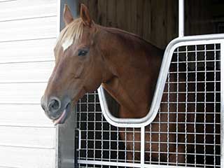 タイキシャトル