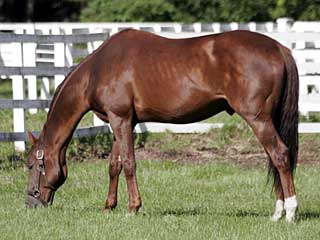 ティンバーカントリー