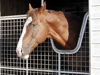 ウォーターリーグ