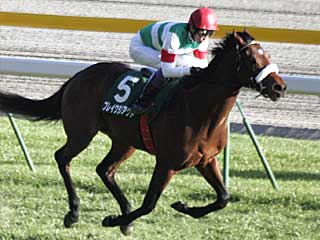 ブレイクランアウト(共同通信杯)