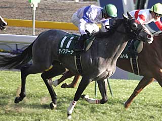 ディアジーナ(クイーンカップ)