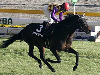 トウショウウェイヴ(白富士ステークス)