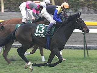 フォゲッタブル(ダイヤモンドステークス)