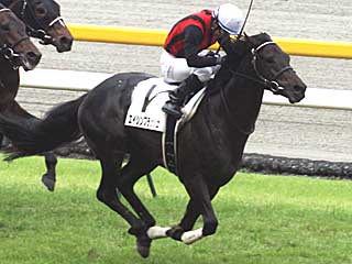 エイシンフラッシュ(日本ダービー)