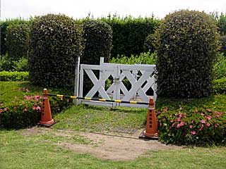 ファミリーゾーン