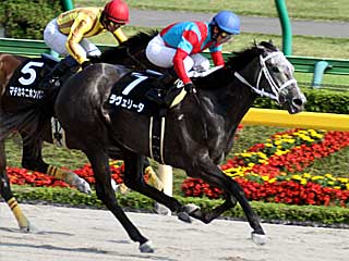 ラヴェリータ(ブリリアントステークス)