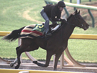 シリュスデゼーグル(ジャパンカップ公開調教)