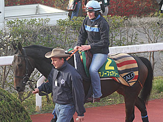 スノーフェアリー(ジャパンカップ公開調教)