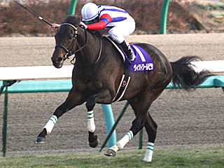 有馬記念 | 中山競馬場 | 2010年12月26日の競馬日記 | 東京競馬場
