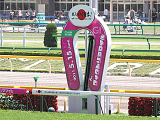 ゴール板(ヴィクトリアマイル)