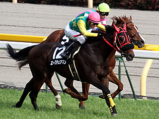 エーブチェアマン(きぼう賞)