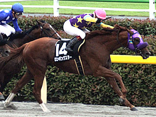 ロンギングスター(ひかり賞)