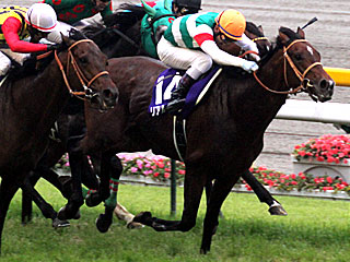 リアルインパクト(安田記念)