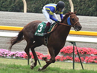 ダークシャドウ(エプソムカップ)