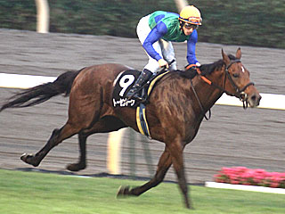 トーセンレーヴ(アイルランドトロフィー)