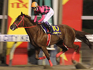 スマートファルコン(JBCクラシック)