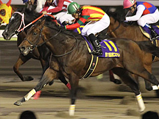 スーニ(JBCスプリント)