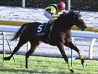 アプリコットフィズ(キャピタルステークス)