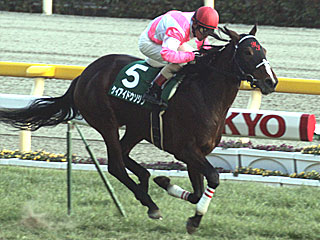 ケイアイドウソジン(ダイヤモンドステークス)