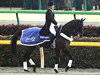 サクセスブロッケン