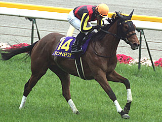 ジェンティルドンナ(オークス)