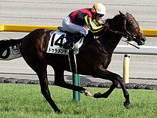 ドゥラメンテ(日本ダービー)