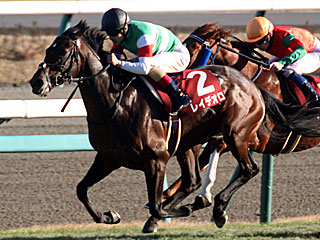 レイデオロ(ホープフルステークス)