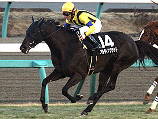 アルティマブラッド(ハッピーエンドカップ)