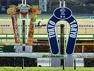 ゴール板(フェブラリーステークス)