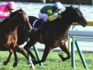 スズカデヴィアス(白富士ステークス)