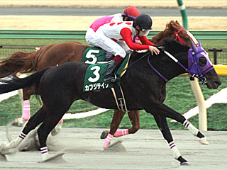 カフジテイク(根岸ステークス)