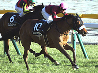 フロンテアクイーン(初音ステークス)