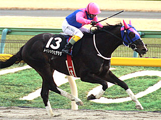 メイショウヒデタダ(春麗ジャンプステークス)