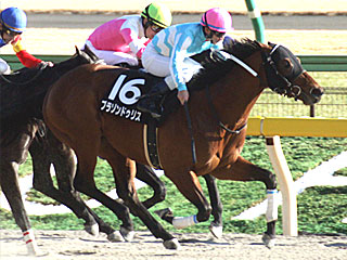 ブラゾンドゥリス(バレンタインステークス)