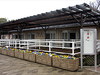 乗馬の展示コーナー