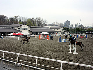 乗馬センター