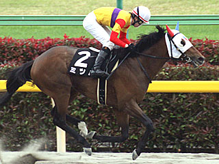 ミツバ(ブリリアントステークス)