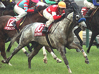 レッドファルクス(京王杯スプリングカップ)
