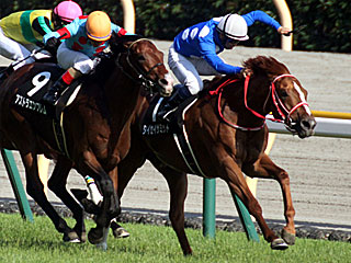 タイセイサミット(メイステークス)