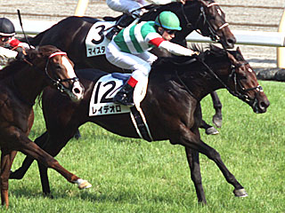 レイデオロ(日本ダービー)