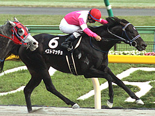 ベストマッチョ(麦秋ステークス)