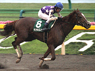サンライズノヴァ(ユニコーンステークス)