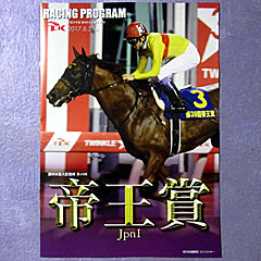 レーシングプログラム