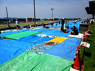東京競馬場花火大会@日吉が丘